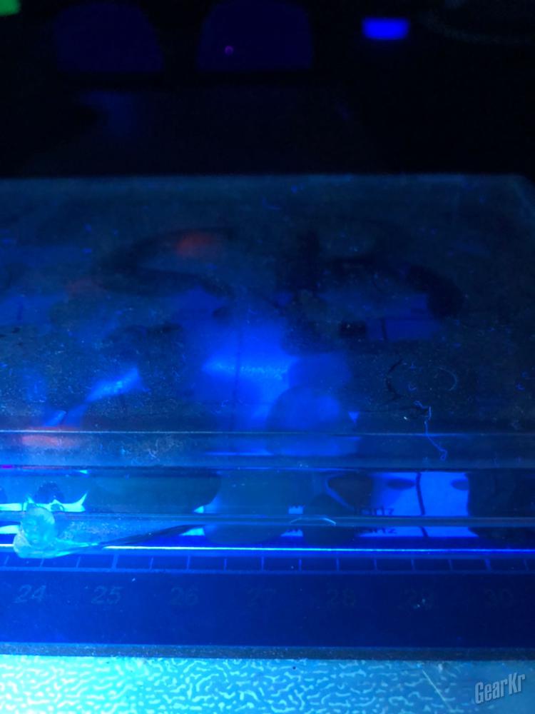 你看不见的蛛丝马迹,我来帮你看清!——务本E19uv 365nm紫外线